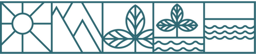 Түншийн Лого